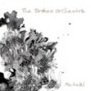 Mutual(Instrumental) (纯音乐) - The Broken Orchestra