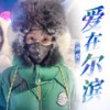 爱在尔滨 - 孙悦