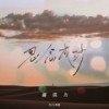 思念成沙 (DJ九零版) - 郝琪力