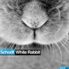White Rabbit (Faces Remix) - Schodt&Faces
