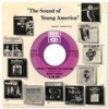 There's No Stopping Us Now (Mono Version) - The Supremes