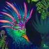 Back From The Rabbithole - Simon Weber&Douady Rabbits&Jonas Wiesner