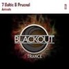 Animals (Original Mix) - 7 Baltic&Prucnel