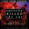 Down to Earth - Curiosity Killed The Cat