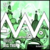 Big Trip - Dave Tech