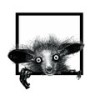 Hairy Man (Hernan Bass Remix) - HERNAN BASS&Brojanowski