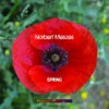 Spring (Radio Edit) - Norbert Meszes