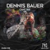 Long Way - Dennis Bauer