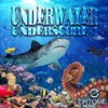 Dolphins Play - Isha The Mad Scientist