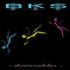 Take It While You Can (The Darryl James and David Anthony Reconstruction Mix) - BKS&Michael Dunston&Darryl James & David Anthony&Chris Sheppard&Greg Kavanagh&Hennie Bekker