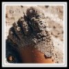 Camel Ride - Balzerwood