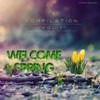 Desire (Original Mix) - Nicky Smiles&Paul Smith