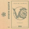 Nothing to Gain - Rahim Samad