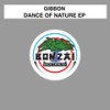 Avalanche - Gibbon