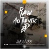 Elemental Groove (Original Mix) - Genvee