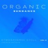 Life Is Complex (Original Mix) - Lunar Sound Effect