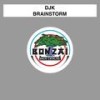 Brainstorm - DJK