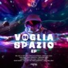 Voglia di Spazio - Mr. Leo&Tino Rao