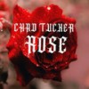 Rose - Chad Tucker