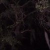 Eclipse (Explicit) - Maur