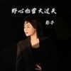 野心也曾大过天 (伴奏) - 影子