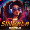 Priyawee - Piyath Rajapakse&Natasha Perera&Raj Thillaiyampalam&Nilukshi&Killer B&Nathasha Perera
