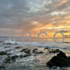 Windswept (Nature) - Arco