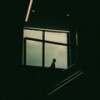 萧炎进行曲（你会站在大陆的巅峰 ） - DJ葫芦蛙