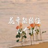 花开能经住几个秋 - 卢润泽