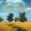 种完麦子我就往南走 (文案版) - 刘家奇阿