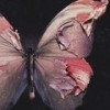 向江南折过花对春风与红蜡 - 曼心