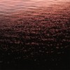 Dark Warm - Milky Day&Jimmy Brown (지미 브라운)&Sway Bleu