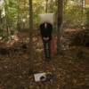 Problem (phone recording) - Voicemail
