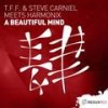 A Beautiful Mind (Radio Edit) - T.F.F.&Steve Carniel&Harmonix