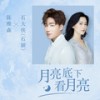 月亮底下看月亮 - 陈雅森&石大侠