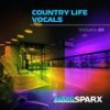 Loving Me Won't Be Easy - David Van Walker