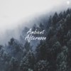 The Cruelty of Orbit - Leaaves