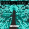 Precarious - Senor