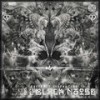 Abstract Subtract - Black Noise&Nektarios