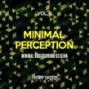 Flawless (Damolh33 Remix) - Andres Guerra