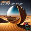 Sahara Synergy - Tayo Wink