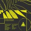 Biomorph (Andrey Djackonda Remix) - ROOT (TUN)