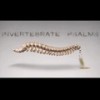 Invertebrate Psalms (Explicit) - SeeS