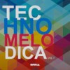 Psychedelic Full Moon (Original Mix) - Red Joint
