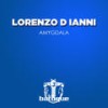 Amygdala - Lorenzo D'Ianni