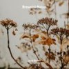 Brownish Noises, Pt. 3 - Jacob Brown