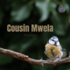 Cousin Mwela - Hezron&Copyright Control