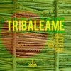 Dub Morning (Cellos Balearica Remix) - Drum & Breakers