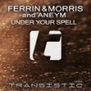 Under Your Spell (Original Mix) - Aneym&Ferrin & Morris