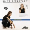 风向 (Wind Direction) - 袁一琦